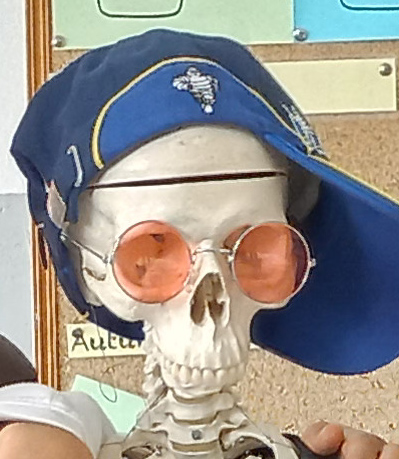 L'esquelet amb "l'esqueletor"